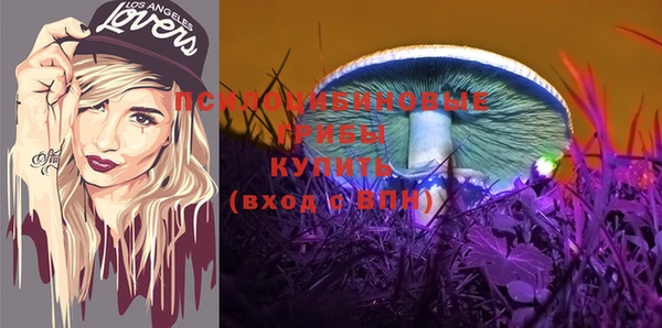 ПСИЛОЦИБИНОВЫЕ ГРИБЫ Наволоки