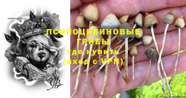 ПСИЛОЦИБИНОВЫЕ ГРИБЫ Наволоки